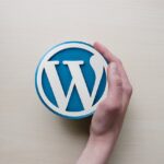 La popularité du CMS Wordpress demeure intacte