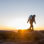 trekking en forêt